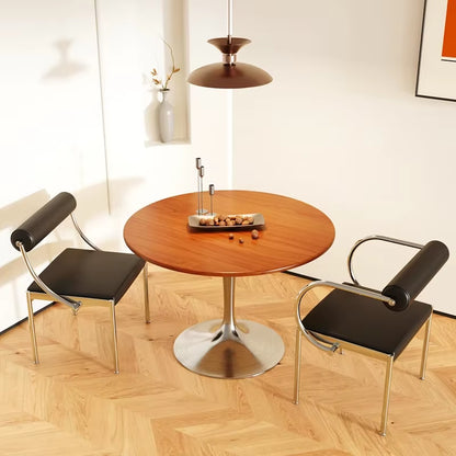 Art Design Simple Dining Chair, Retro Style, Stainless Steel Internet Celebrity Makeup Chair, Living Room Shop Decoration Chair