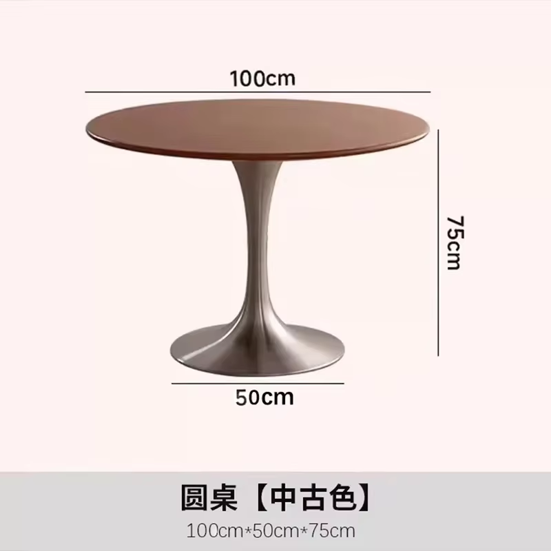 Art Design Simple Dining Chair, Retro Style, Stainless Steel Internet Celebrity Makeup Chair, Living Room Shop Decoration Chair