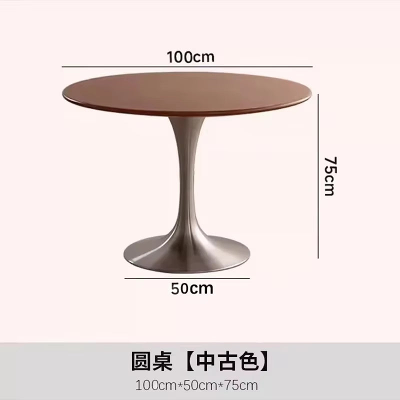 Art Design Simple Dining Chair, Retro Style, Stainless Steel Internet Celebrity Makeup Chair, Living Room Shop Decoration Chair